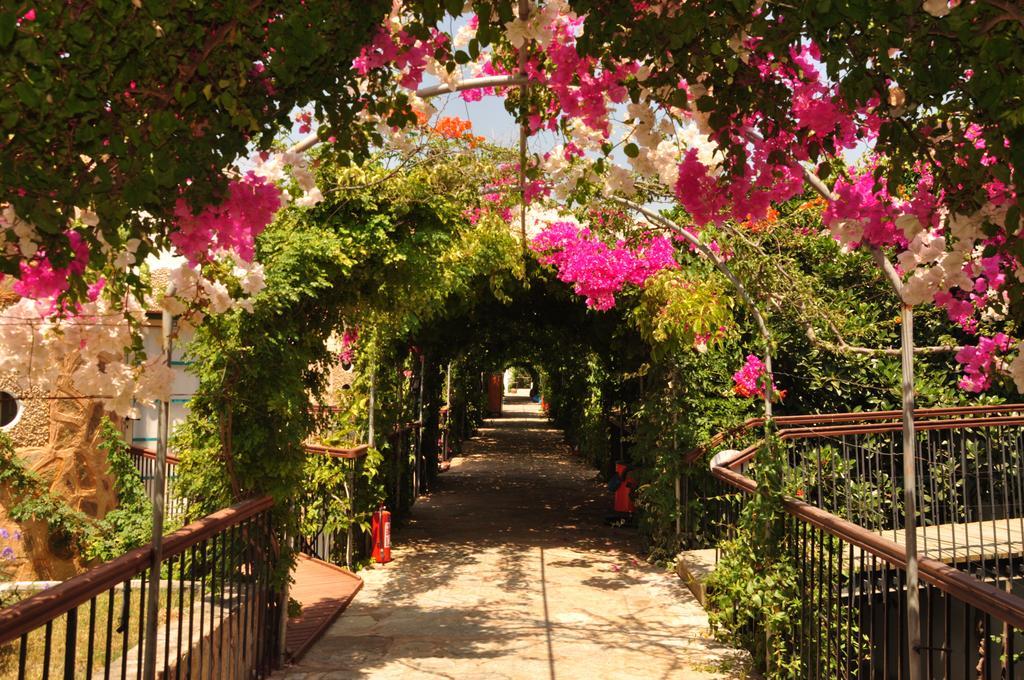 Siesta Beach Apartment Bodrum Exterior foto