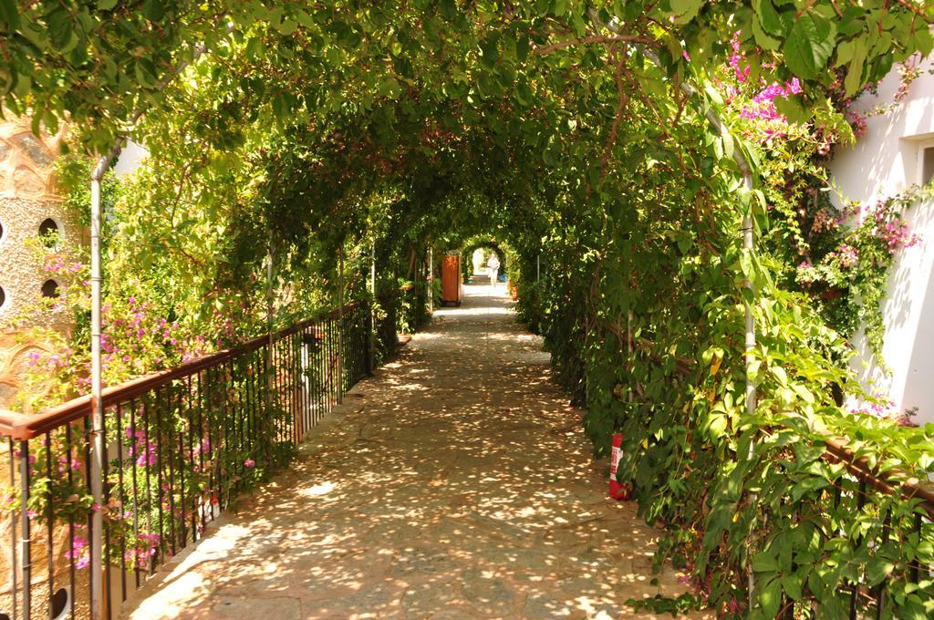 Siesta Beach Apartment Bodrum Exterior foto
